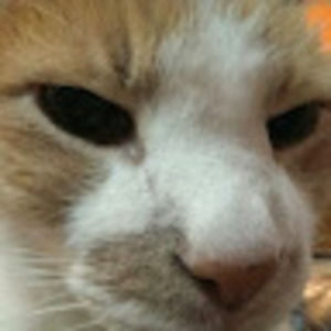 Meet your Posher, Vic